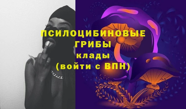 индика Михайловка