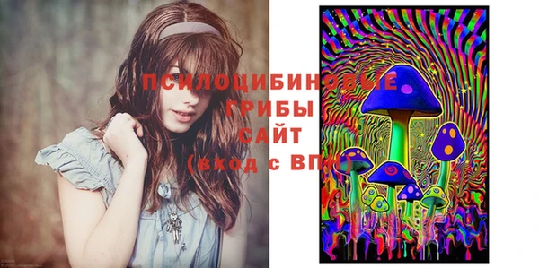 a pvp Мегион