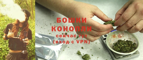 apvp Медногорск