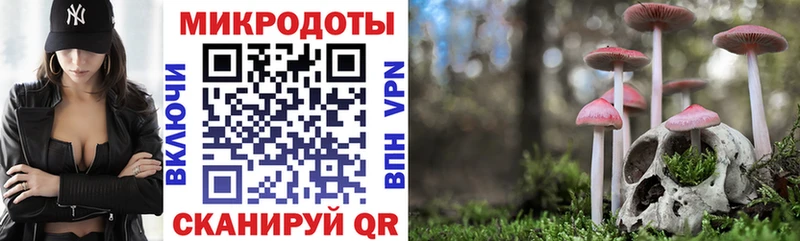 Галлюциногенные грибы Psilocybe Цоци-Юрт